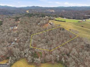 Ada St, Blue Ridge, GA 30513