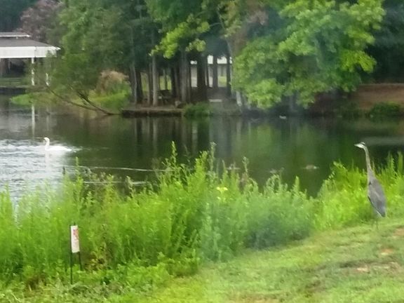 5th image of 900 Summerlake Dr