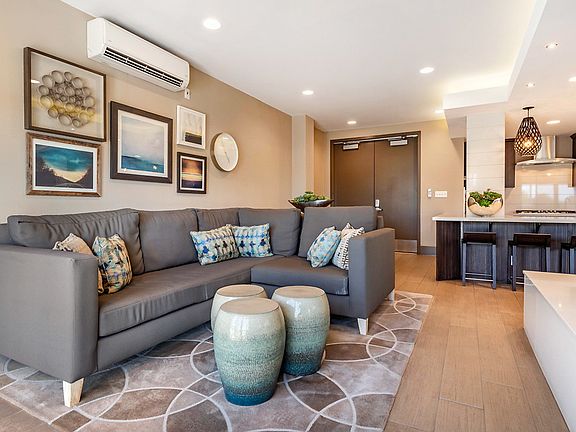 Clubhouse with fireplace, large couch, and full kitchen.