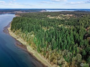 9538 Steffensen Rd, Anderson Island, WA 98303