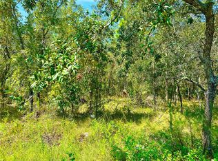 LOT 18 Limpkin Rd LOT 18, Brooksville, FL 34614
