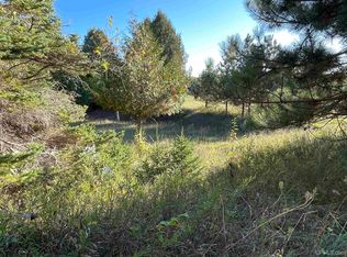 County Pit Rd PARCEL 2, Manistique, MI 49854