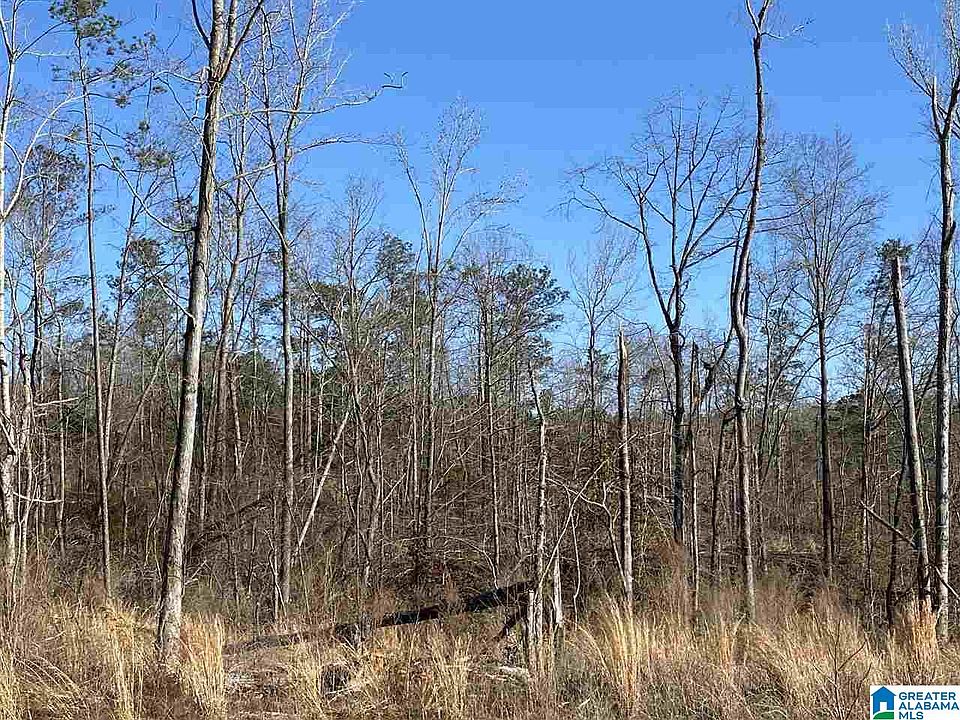 2nd image of 0 County Road 36 #0
