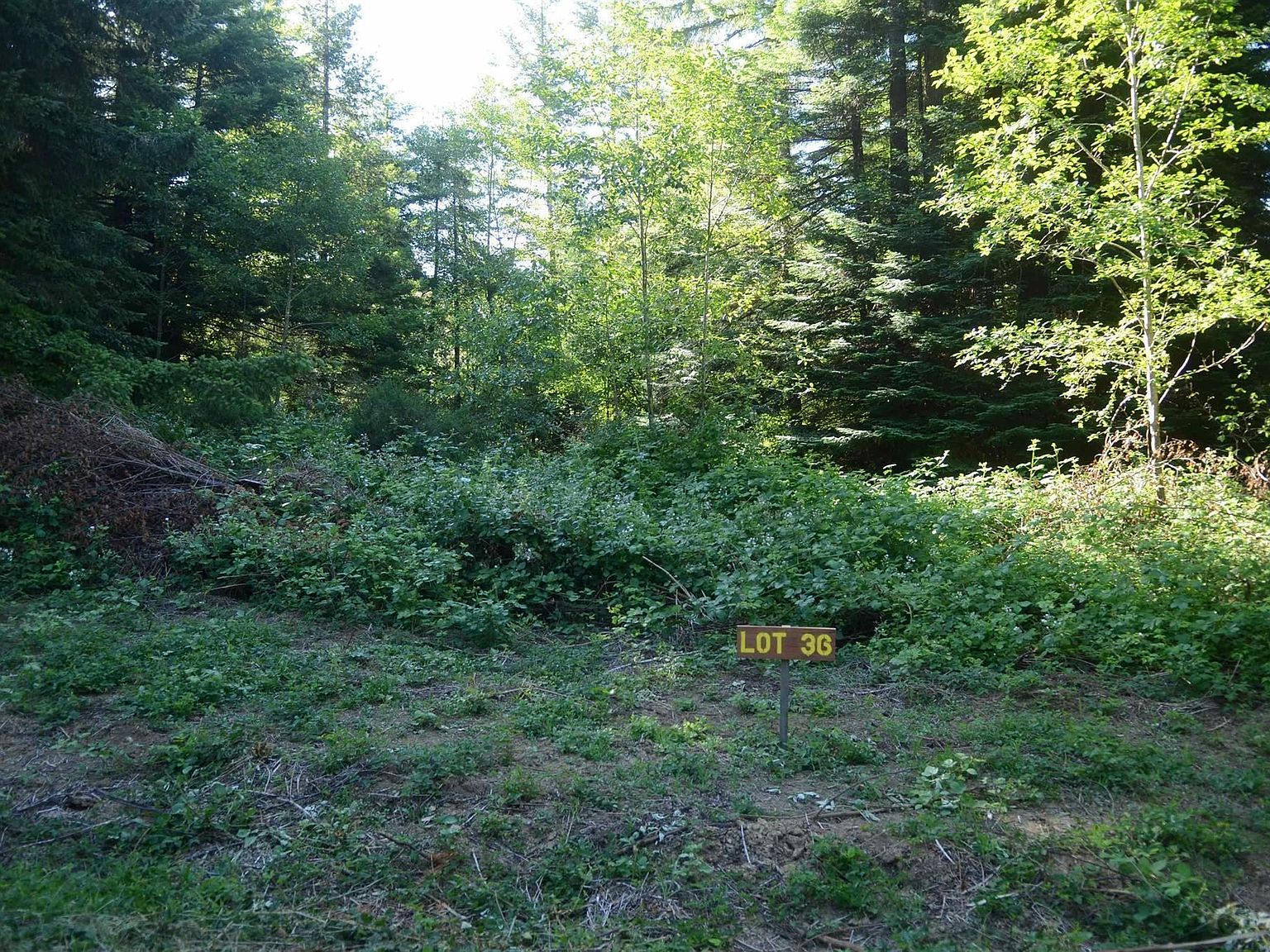 LOT 36 Bell Hole Loop