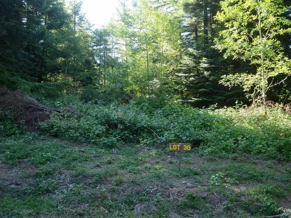 LOT 36 Bell Hole Loop, Crescent City, CA 95531