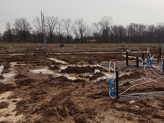 Homesite