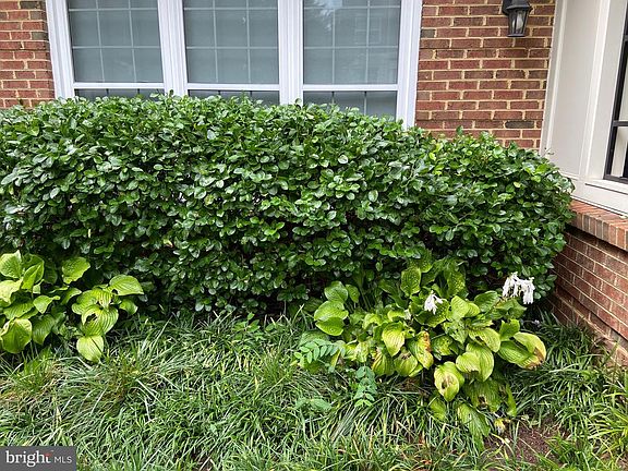 3rd image of 4465A Beacon Grove Cir #701A