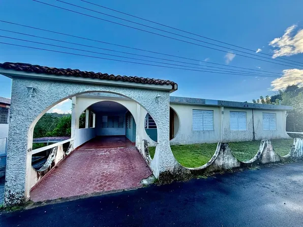 Km 48.1 Bo Mulas, Aguas Buenas, PR 00703