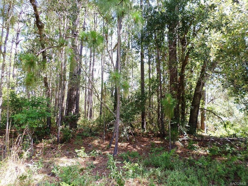1st image of 3631 W Citrus Springs Blvd