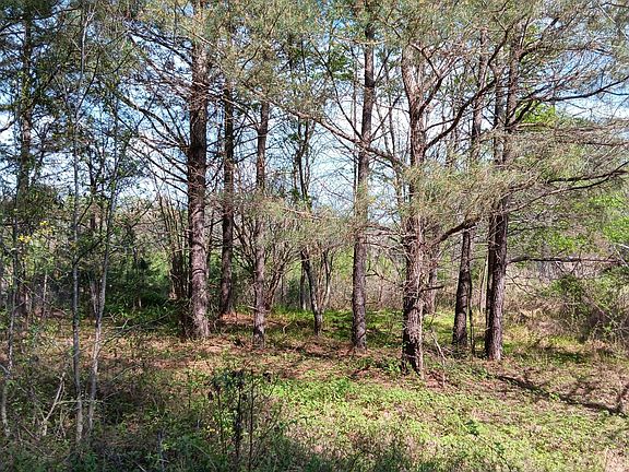 3rd image of 0 Cypress Creek Dr Lot 3