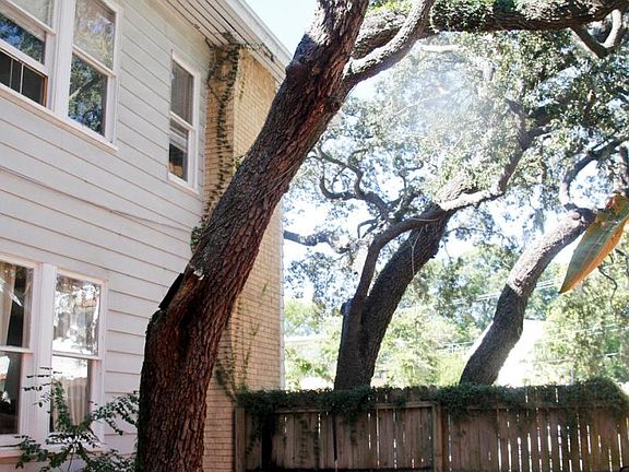 side yard facing north
