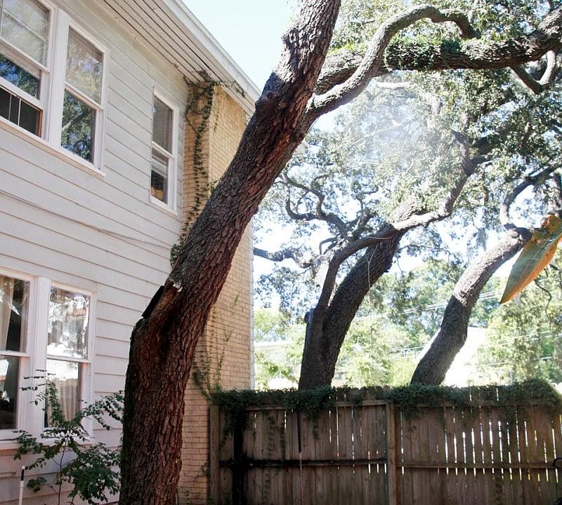 side yard facing north