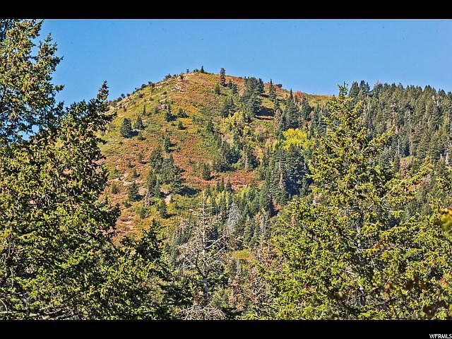 1st image of 225 Matterhorn Dr