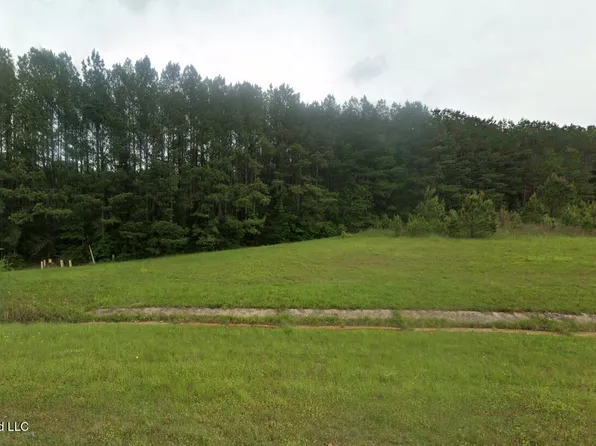 Highway 45n, Waynesboro, MS 39367