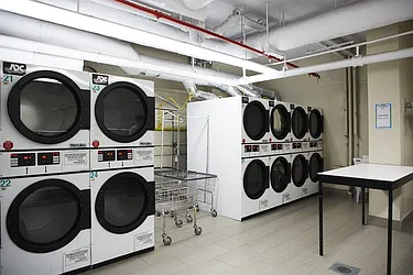 Rented by Area New York