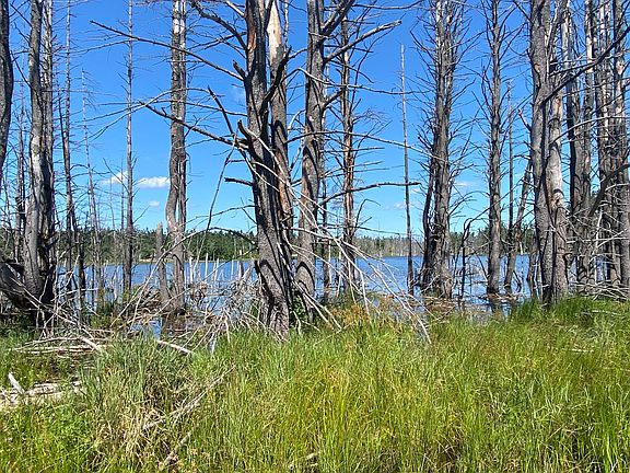 4th image of Labrador Dr