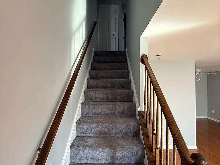3 Courtland St — Photo 5