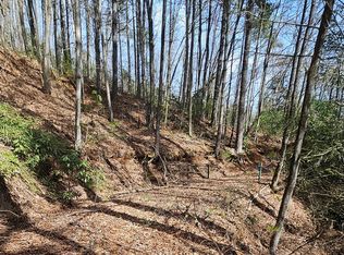 0 Brushy Fork Rd, Sylva, NC 28779