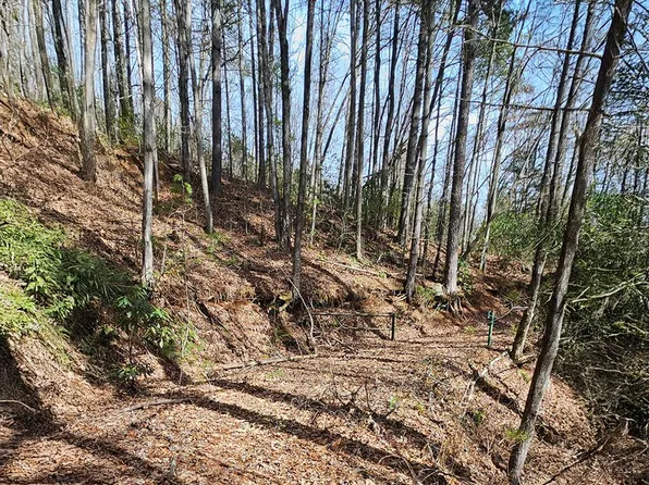 0 Brushy Fork Rd, Sylva, NC 28779