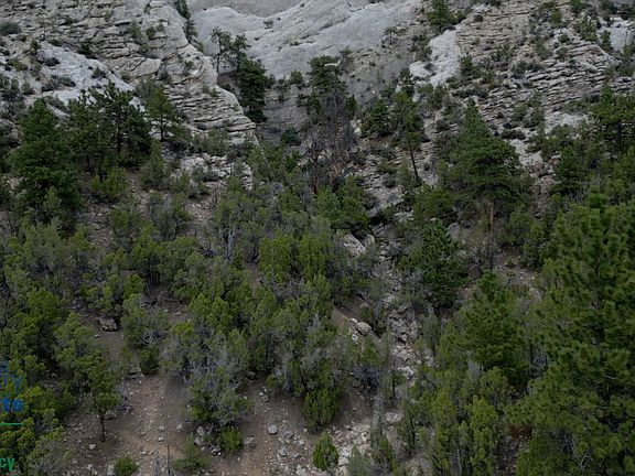 5th image of 193 Old Maid Gulch