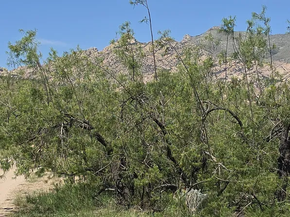 Lehigh St #15, Pearce, AZ 85625