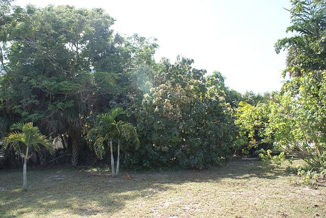 2nd image of 15806 Tortuga St