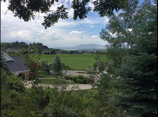 VIEW OF PARK 