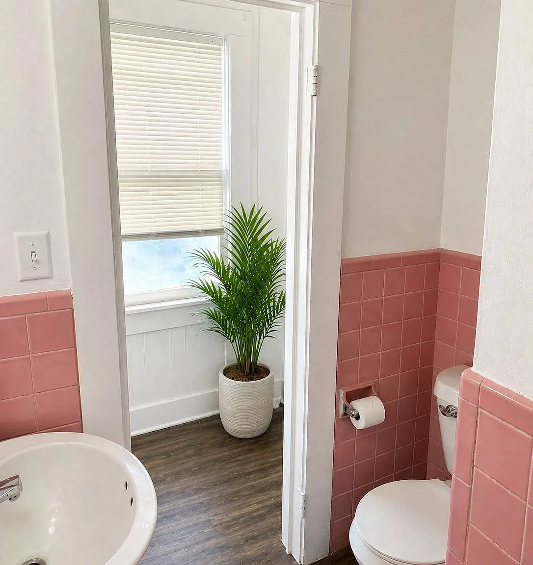1 bed, 1.0 bath, $750 — Photo 3