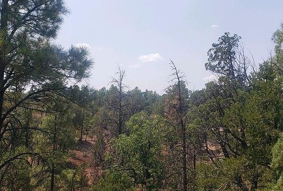 4th image of 6373 Cedar Crst