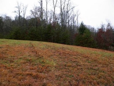 Trig Long Rd Lot 20, Dandridge, TN, 37725