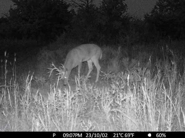 1400 Road, Altoona, KS 66710