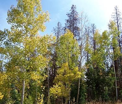 1st image of 2172 County Road 164