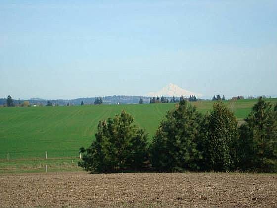 Farm, Buildings, Water right