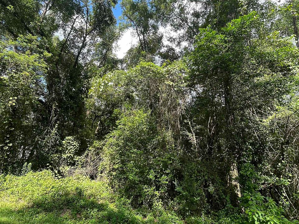 2nd image of Sand Pine Dr