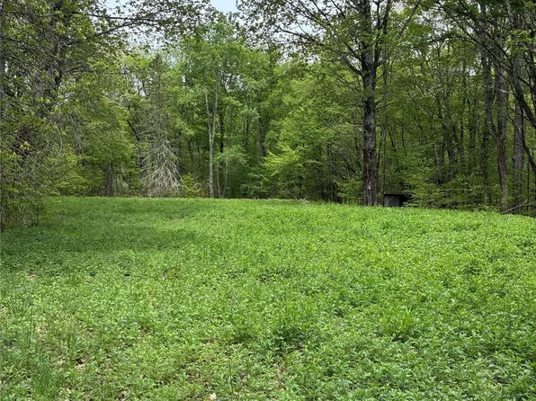 1 Mountain lake Road, Call Listing Agent, NY 13731