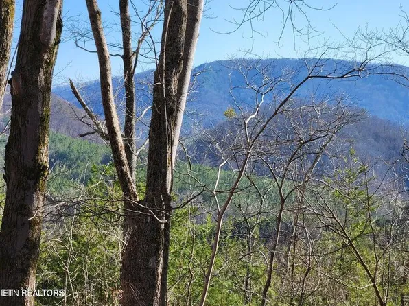 Highway 39e, Englewood, TN 37329