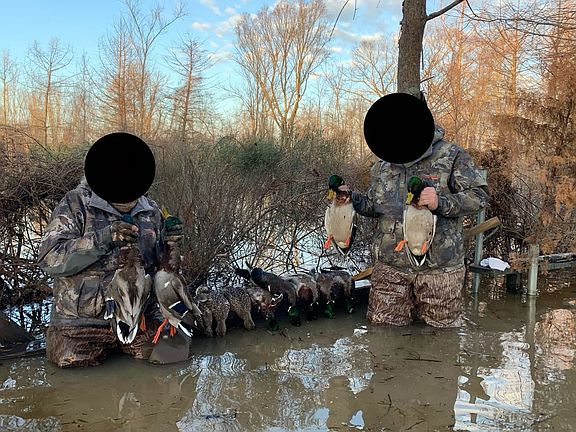 38b1113b E56c 4ec2 9414 Af63cb16d4fd