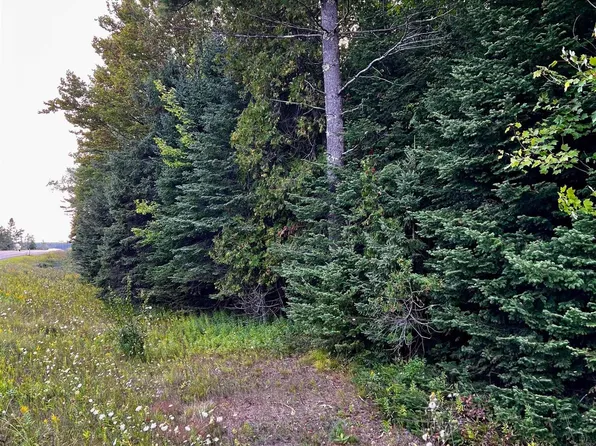 LOT 2 Hemlock Views Trl, Manistique, MI 49854