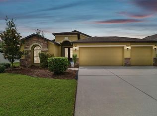 6734 Wild Elm Ct, Wesley Chapel, FL 33545