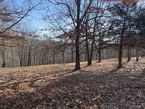 2nd image of Dogwood Lots 21a & 21b Dr