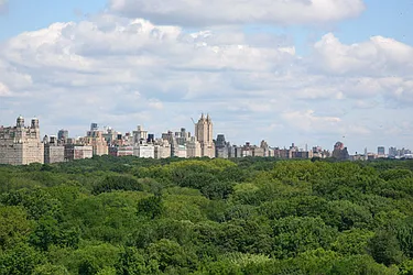 Rented by NY Living Solutions