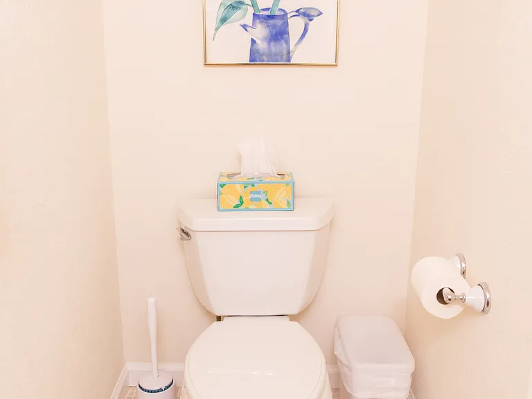 Downstairs half bathroom.