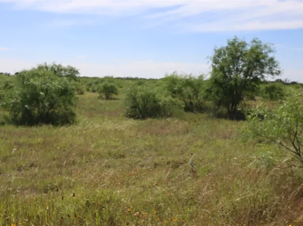 807 County Road 215, Rising Star, TX 76471