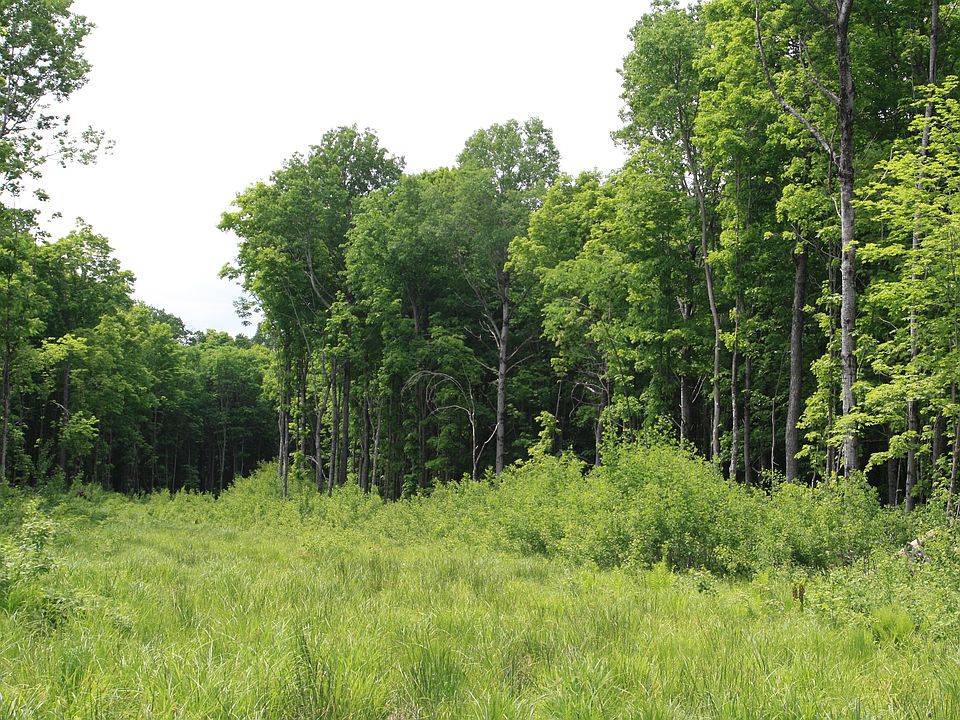 1st image of Tbd Skyline River's Edge