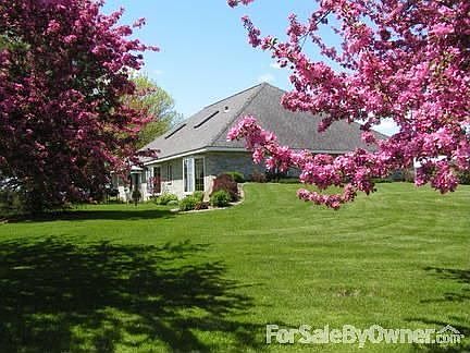 Springtime! : This is the view from the road