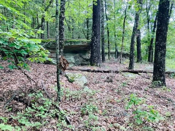 0 Dwelle Rd, Norfork, AR 72658