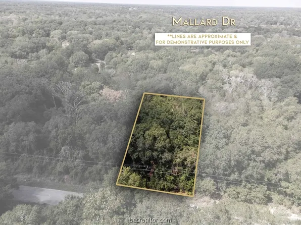 LOT 4a 74 Mallard Dr, Caldwell, TX 77836