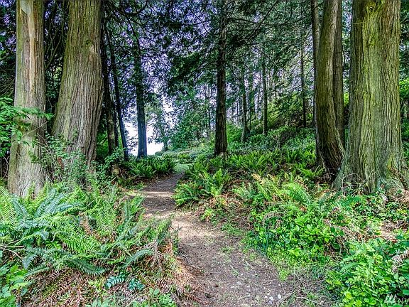 Through the trees towards the lower vista.