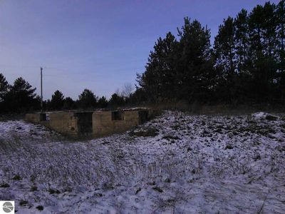 871 W Elder Rd, Mancelona, MI, 49659