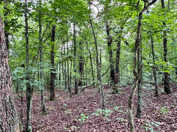 0 Palamino, Williford, AR 72482